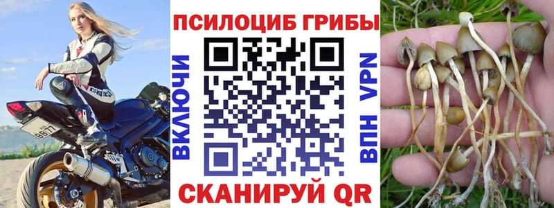Галлюциногенные грибы Magic Shrooms Комсомольск-на-Амуре